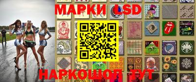 СК Можга
