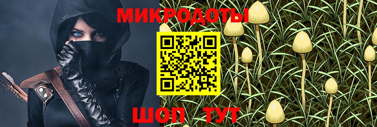 Псилоцибиновые грибы Cubensis Шебекино