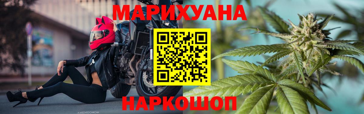 Конопля планчик Шебекино